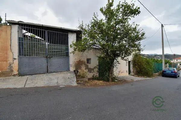 Finca Rústica en Motril con Chirimoyos y Olivos
