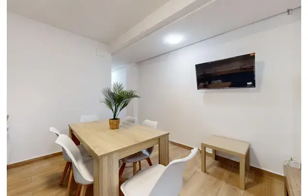 Alquiler Habitacion Apartamento 6 Dormitorios Elche Estudiantes Trabajadores