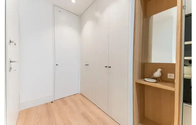 Alquiler Apartamento 1 Dormitorio Madrid Centro