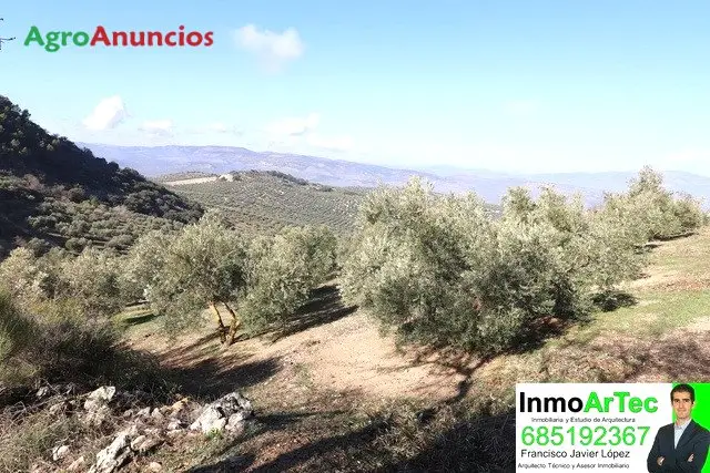 Venta  de Finca de olivos en Granada