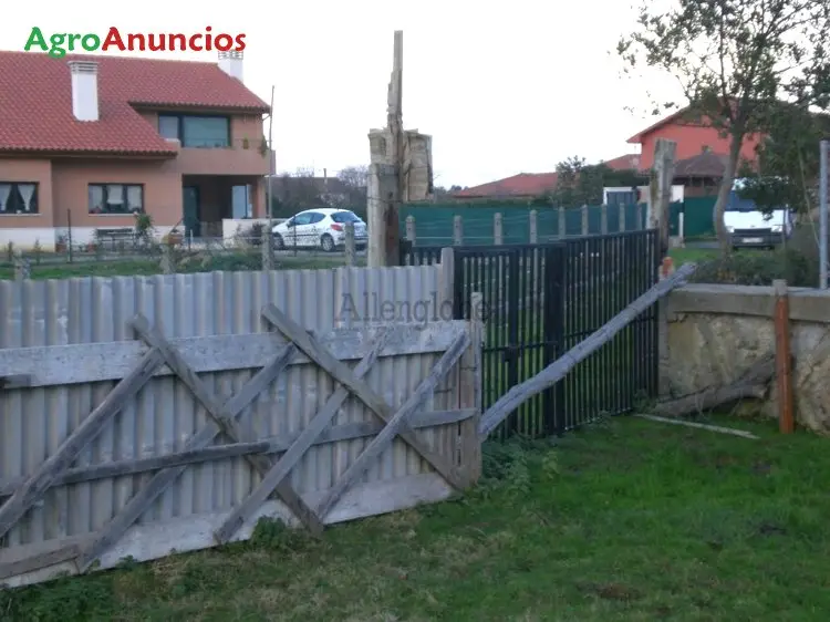 Venta  de Finca urbanizable llana bien comunicada en Asturias