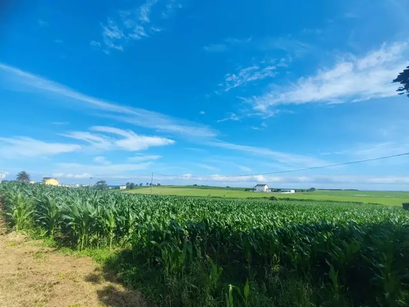 venta Terreno en Tapia de Casariego, Asturias (RV_1353)- Globaliza