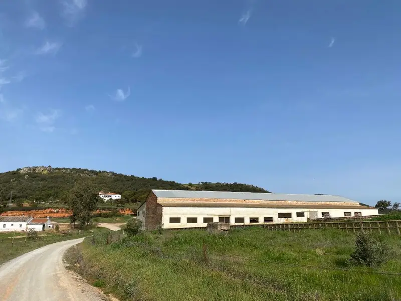 Venta Finca Cerro Muriano Cordoba