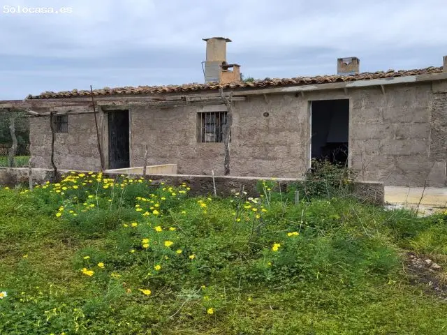 Gran Oportunidad En Llucmajor, Zona Arenal