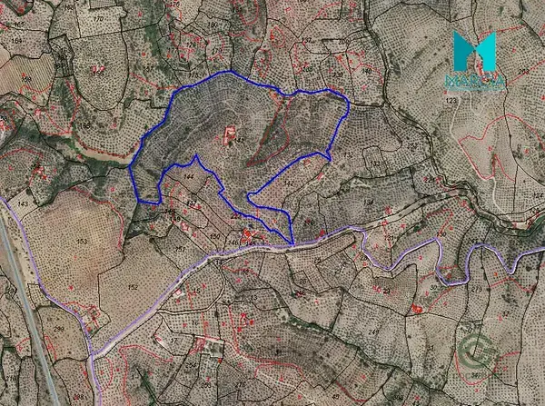Terreno Rustico Olivar 23ha Montoro Ocupado Inmueble Inversion