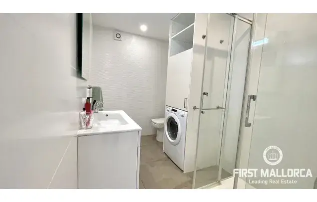 Alquiler Apartamento 1 Dormitorio Palmanova Primera Linea