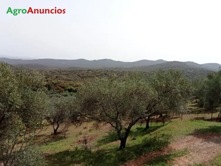 Venta  de Finca de recreo en Huelva