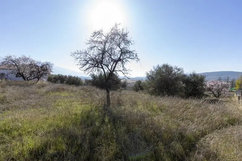 Venta Solar Padul 1343m2 Vistas Vega y Laguna
