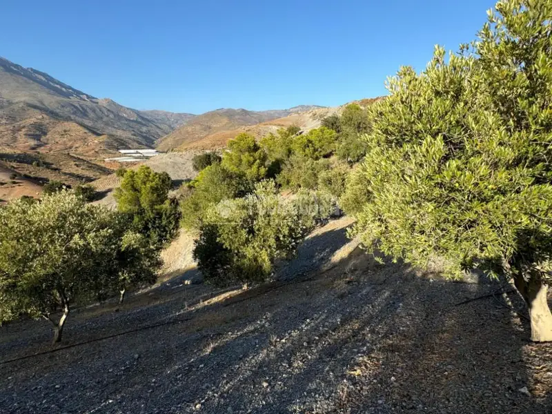 Terrenos en venta en Gualchos