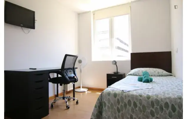 Alquiler Apartamento 8 Dormitorios Madrid