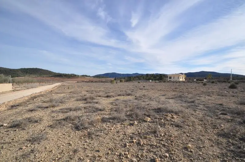 Terreno en Venta cerca de Pinoso