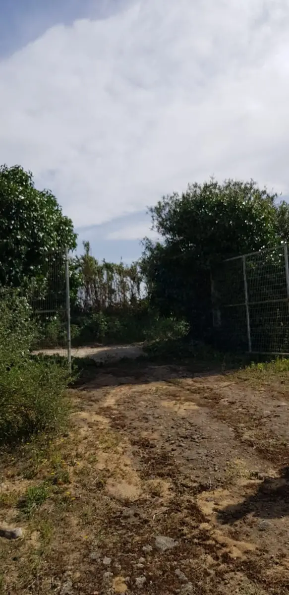 Venta Finca Rustica San Jose Malcocinado Medina Sidonia