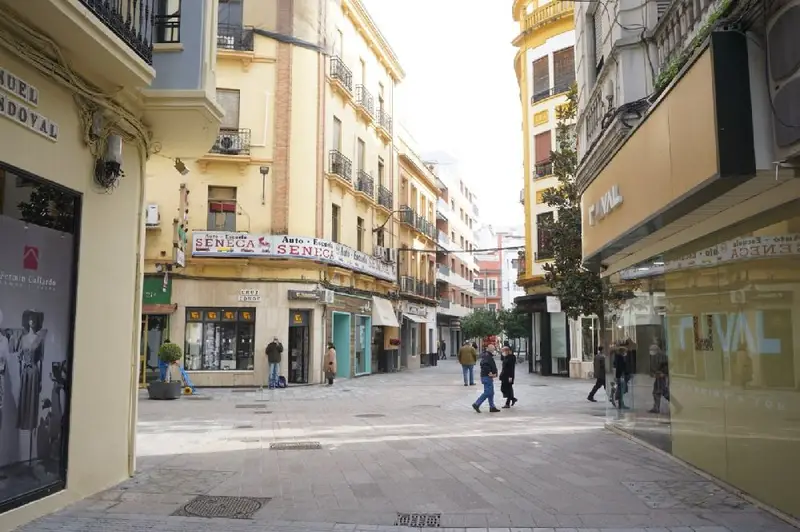 Venta Local Comercial Reformado Centro Cordoba