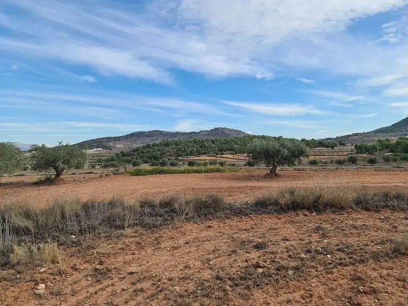 Terrenos en Venta Pinoso Alicante 20343m2