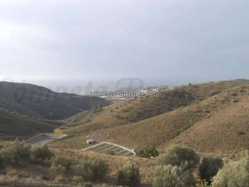 Parcela en Venta Sayalonga Vistas al Mar
