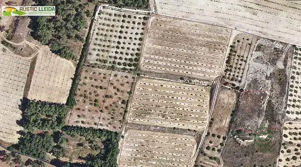 Finca Regadío 7500m2 Les Borges Blanques
