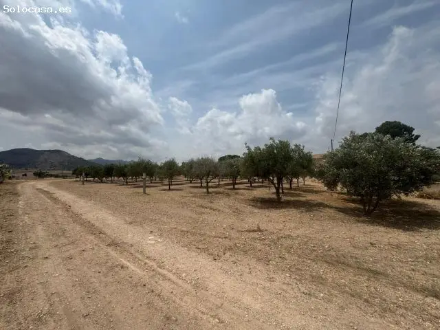 Finca Rustica Romana 2 Dormitorios Cerca Playa Aeropuerto