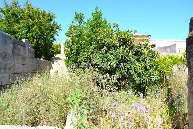 Parcela Rustica en Venta Muro Mallorca