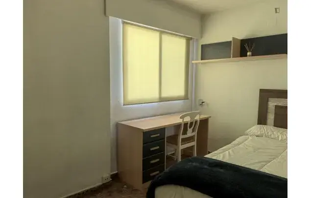 Alquiler Apartamento 5 Dormitorios Alicante Centro