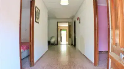 Chalet y Solares en Venta en San Vicente del Raspeig