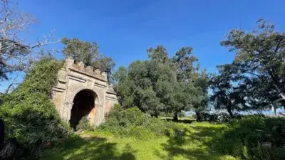 Finca Rustica en Venta cerca de Vejer 18 Hectareas