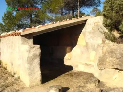 Venta  de Finca con olivos y pinos para madera en Teruel