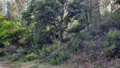 Finca Rustica en Venta Los Lagos del Serrano