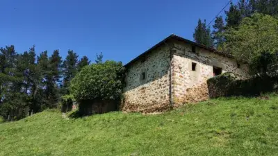 Caserio con Cabaña Adosada en Llanteno