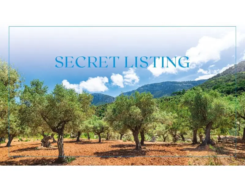 Finca en Venta Santa Maria del Cami Mallorca