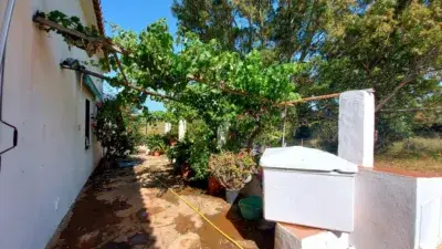 Finca Rustica en Venta Chaparral Mijas