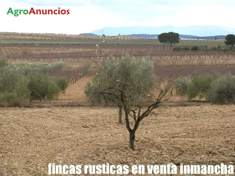 Venta  de Finca de almendros en Murcia