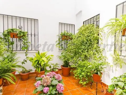 Piso de 3 Dormitorios en venta Canillas de Albaida, España