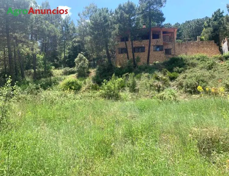 Venta  de Finca de recreo en Albacete