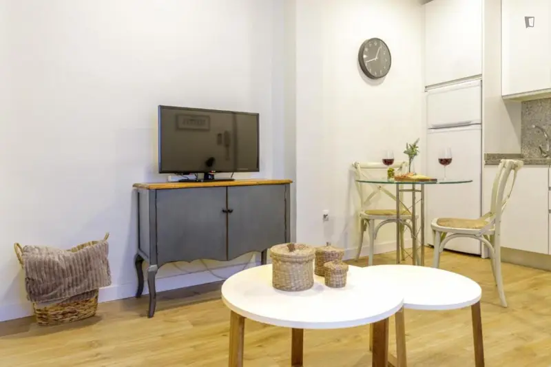 Apartamento con 1 Dormitorio Centro Malaga