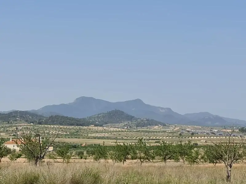 Terreno en Venta Jumilla Murcia 14500m2 Ideal Residencial Agricola