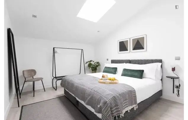 Rent 3 bedroom apartment in Madrid