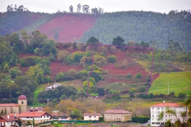 Parcela Rustica en Venta Urduliz 10000m2