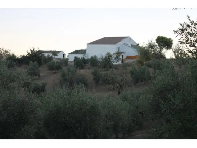Finca con Cortijo en venta - 125 Hectareas - El Gastor