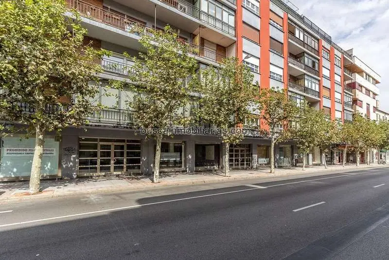 Local Comercial en Venta León 1313 m²