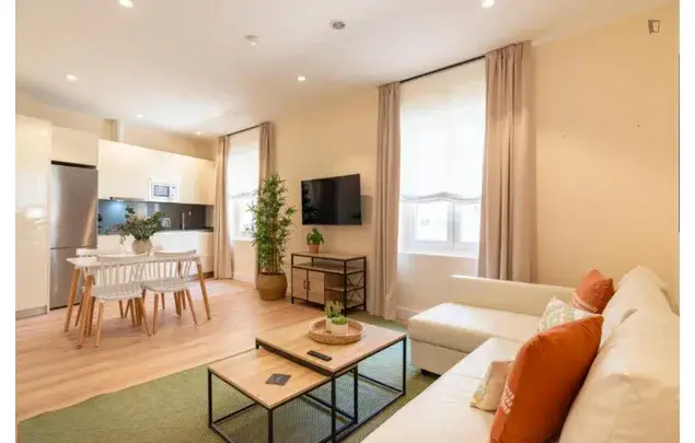 Rent 2 bedroom apartment in Málaga