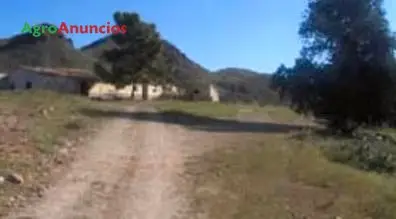 Venta  de Finca con almendros, balsas y cortijo para rehabilitar en Murcia