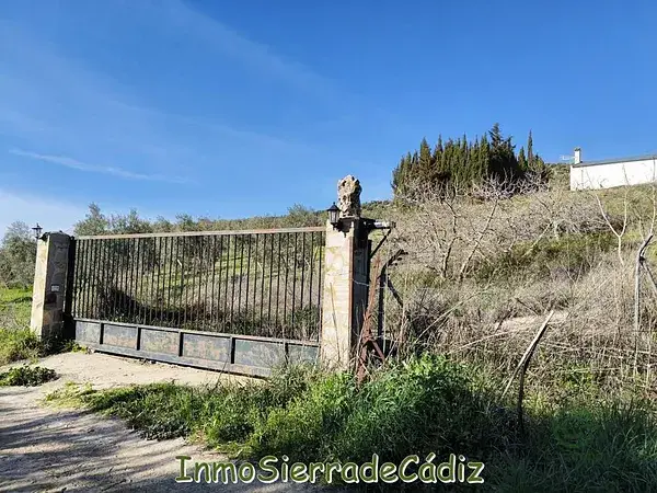 Finca Rustica Ronda Malaga 128635m2 Olivar Casa Piscina