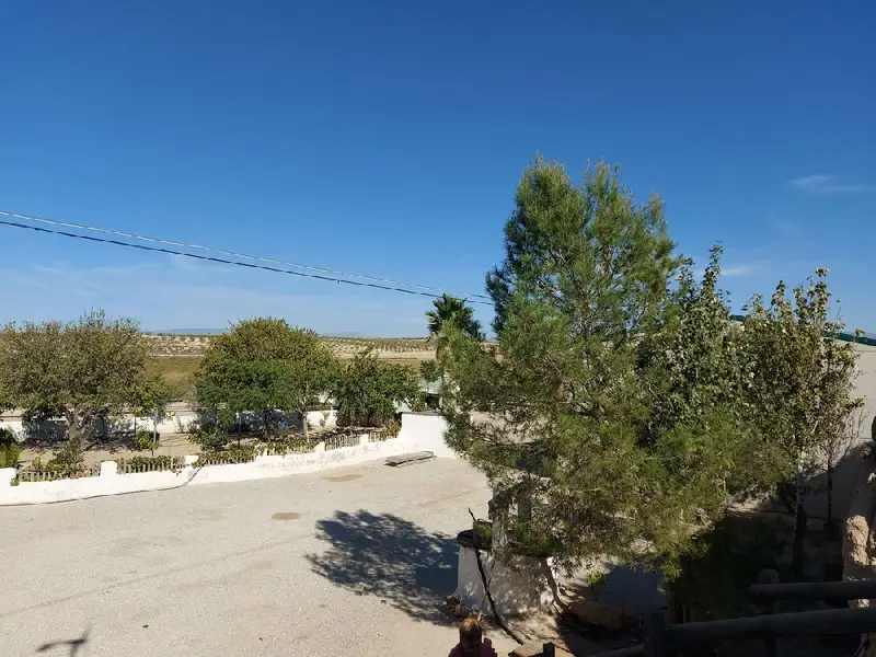 Venta Local Comercial con Chimenea y 12 Hectáreas en Baza