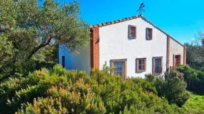 Casa Rústica con Finca de Olivos y Frutales cerca de Aracena