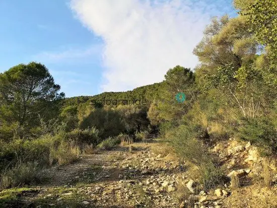 Venta Finca con vistas en Gaucin