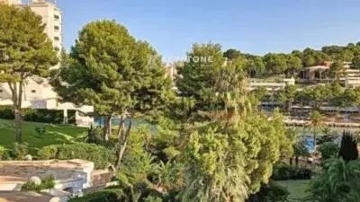 Alquiler Piso Calvia 2 Dormitorios 2 Baños Terraza