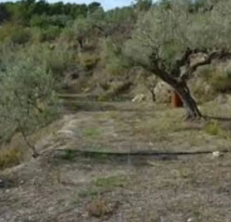 Finca Rustica en Venta El Perello Tarragona 11161m2