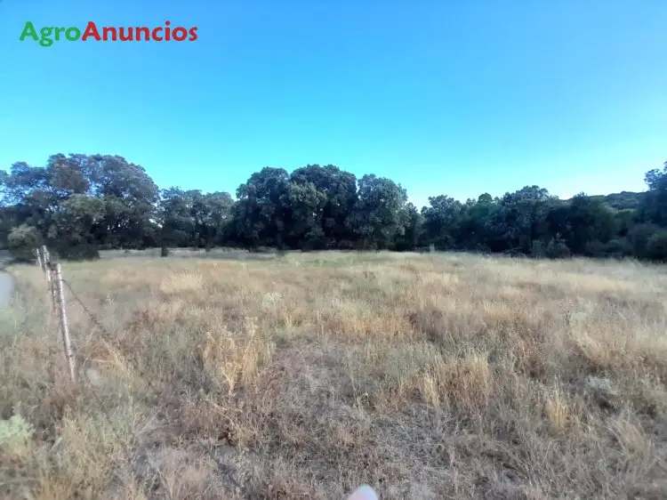 Venta  de Finca ganadera en Ávila