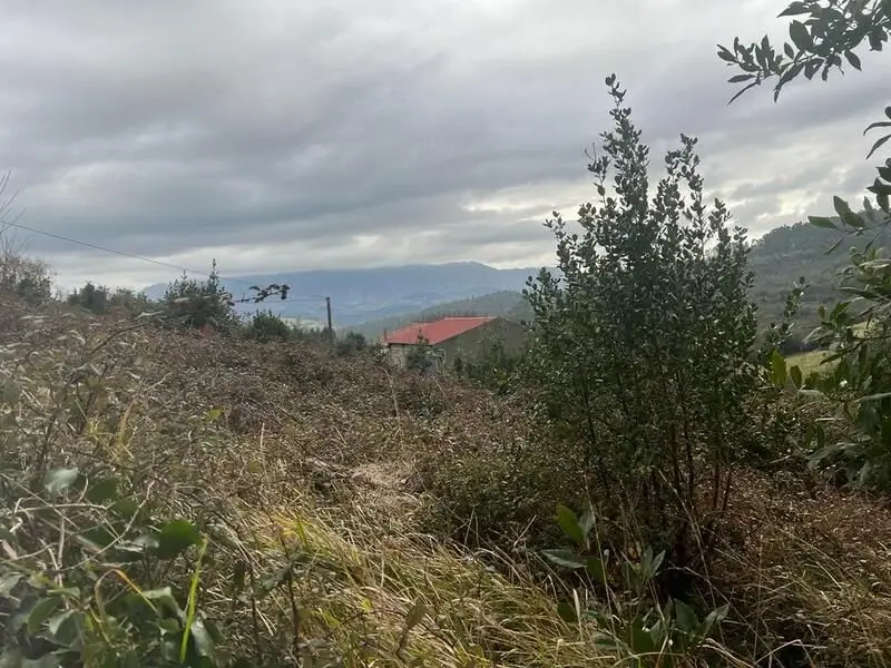 Venta Parcela Villaviciosa - Ref 26230