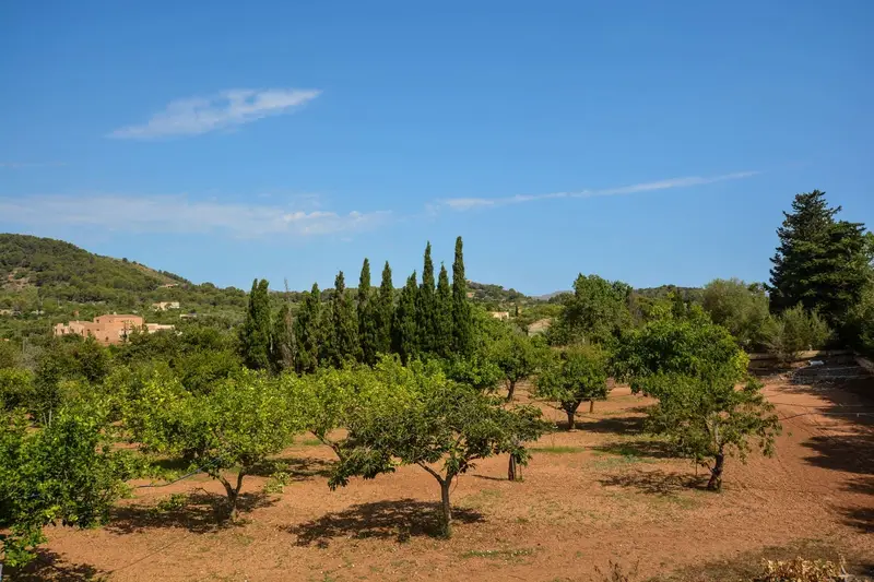 Finca Rustica en Venta Son Servera Mallorca